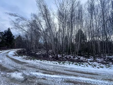 lot10 Woodland Ridge Rd, Danforth, ME 04424