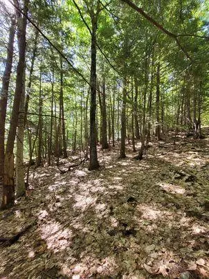 lot29 High St, Rumford, ME 04276
