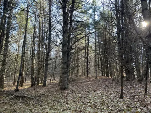 lot Apt 1 Thorndike Rd, Unity, ME 04988