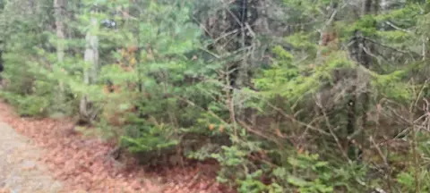 1330 Beech St, Wesley, ME 04686