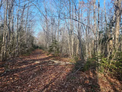 lot Apt 20 Ryan Ln, Surry, ME 04684