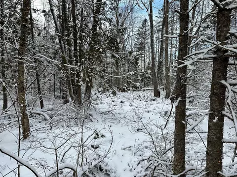 lot040 A Hinckley Ridge Rd, Blue Hill, ME 04614
