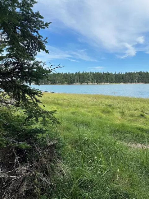 lot3 Pyne Cove Rd, Steuben, ME 04680