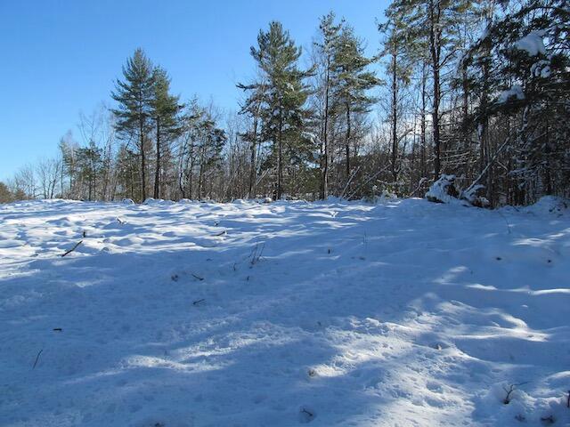 02 Mcalister Rd, Buckfield, ME 04220