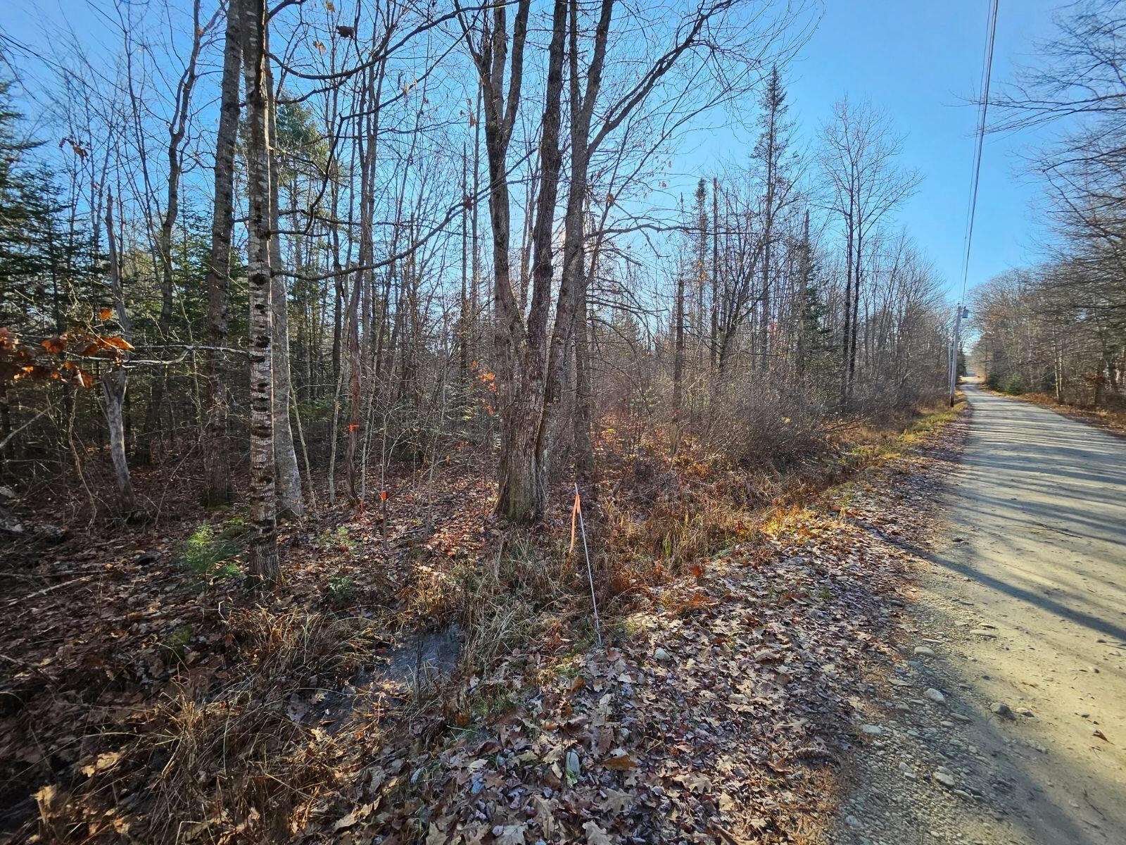 1 Noyes Rd  
