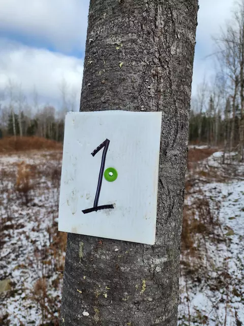 lot1 Greenleaf Brook Acres Rd, Amity, ME 04471