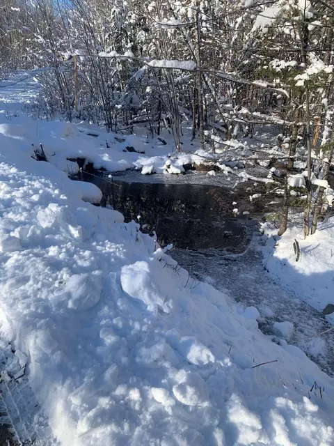 lot13 Black Bear Dr, Otis, ME 04605