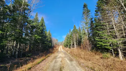 15 Route 1 St, Columbia, ME 04623
