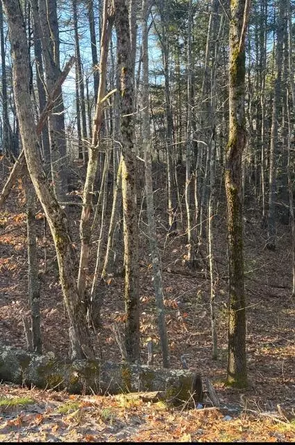 Mp45lt1769 Fairview Drive, Waterboro, ME 04061