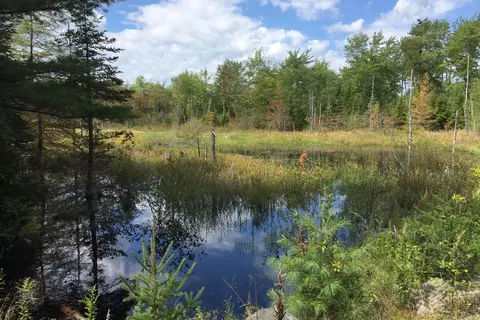lot9 Surry By The Bay Ln, Surry, ME 04684