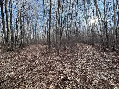 lot7 14 Beechwood Ave N, Hudson, ME 04449