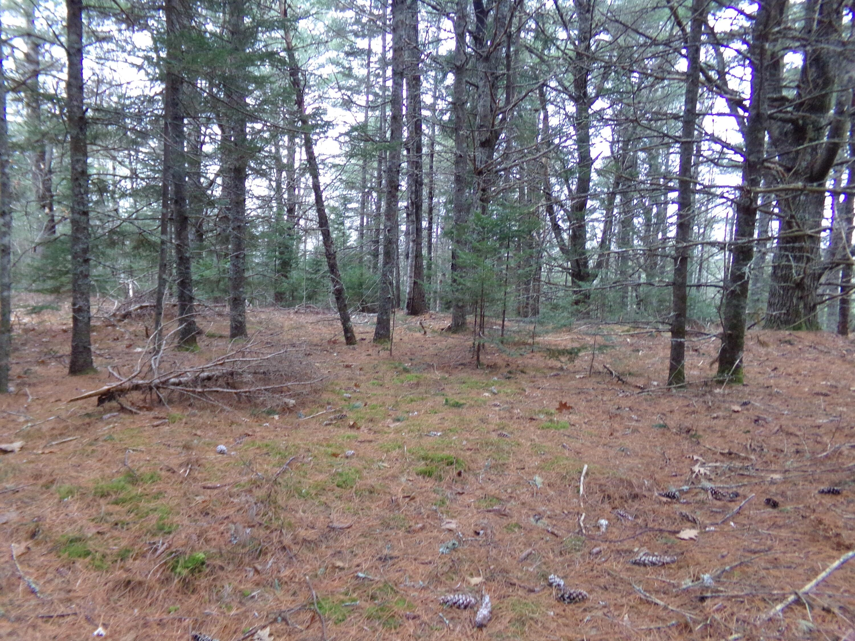3 Rogers Pt Rd  
