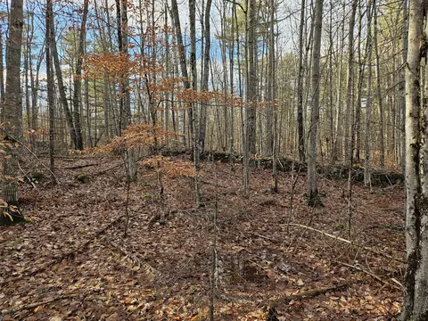 0 Old Waterford Rd, Lovell, ME 04051