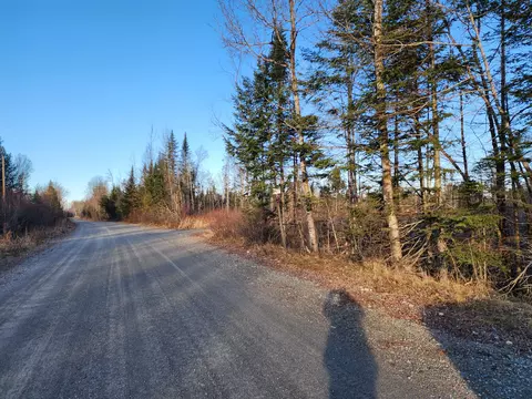 12 Ac Cow Team Rd, Crystal, ME 04747