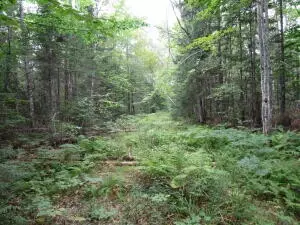 lot Apt 17 Randall Rdg, Maxfield, ME 04448