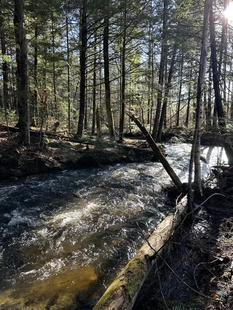 lot6 Hammond Brook Rd, Monson, ME 04464