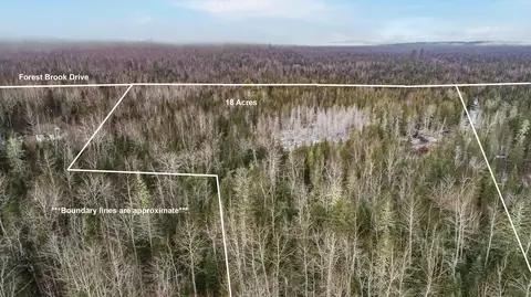 lot41 4 Forest Brook Dr, Abbot, ME 04406