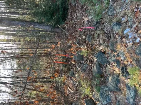 lot Apt 3 Elm St, Newfield, ME 04056