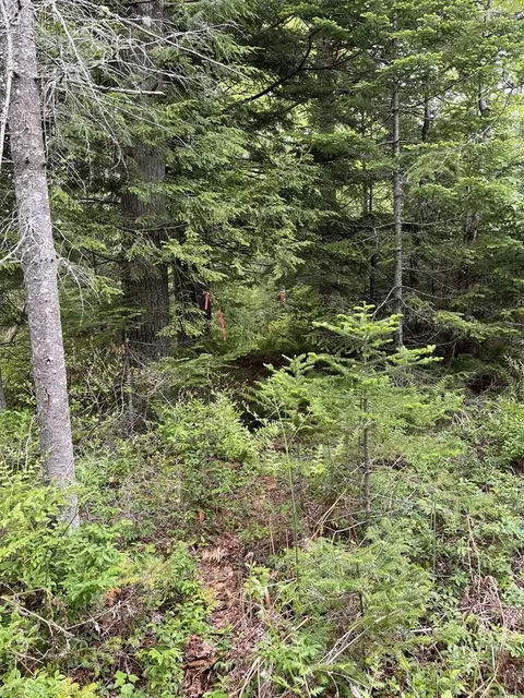 0 Leighs Way #MAP2192, Freeport, ME 04032