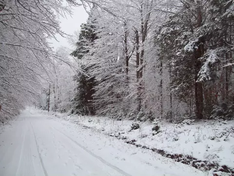 tbd Bearce Rd, Lakeville, ME 04487
