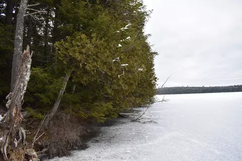 5 Bill Green Pond Rd, Lee, ME 04455