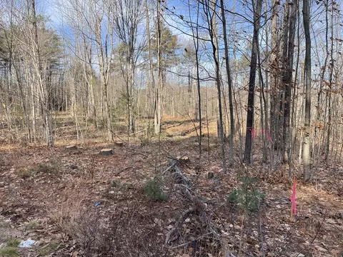 lot12 1 Maplewood Rd, Parsonsfield, ME 04047