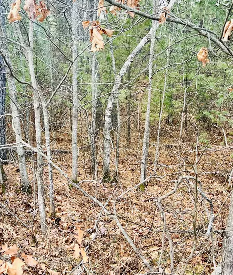 lot Apt 011 Granny Kent Pond Rd, Shapleigh, ME 04076