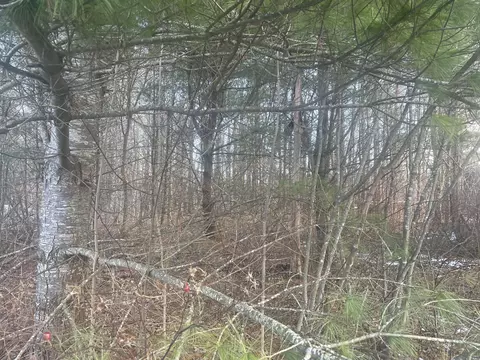 0 Lewis Ln, Randolph, ME 04345