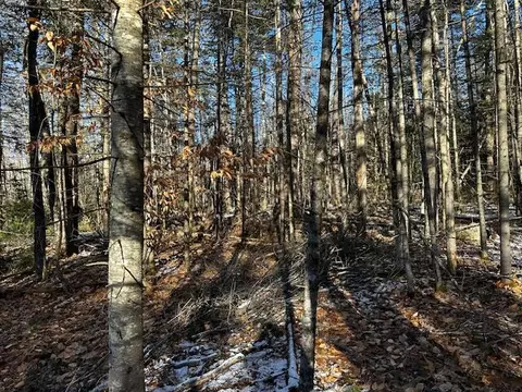 lot2124 C Horse Point Rd, Belgrade, ME 04917