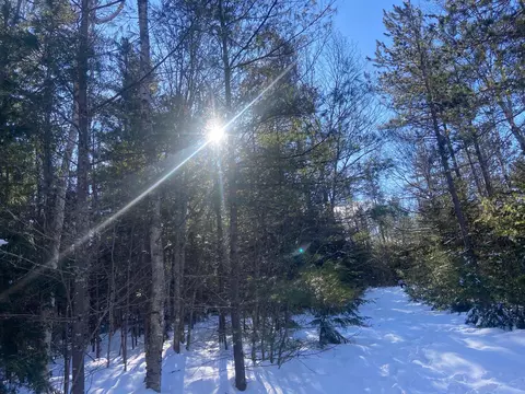 lot3 Mt Tumbledown Rd, Gilead, ME 04217