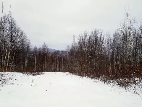 135 Ira Mountain Rd, Kingfield, ME 04947