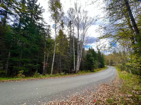 1330 Overlook Rd, Sandy River Plt, ME 04970