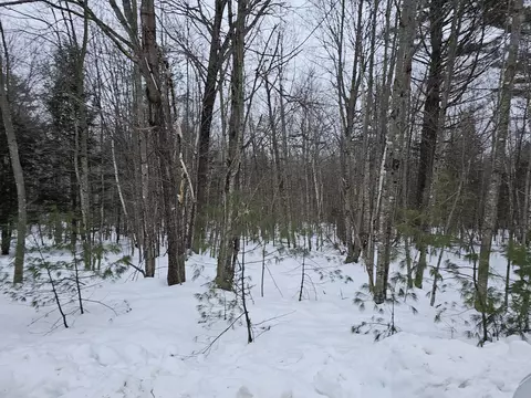 tbd Lot 22 Saunders Rd, Norway, ME 04268