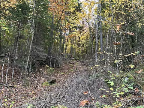 lot Apt B-1 Mountain Rd, Coplin Plt, ME 04970