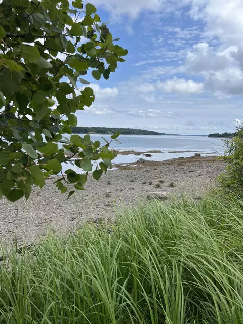 lot Apt 35 Leighton Point Rd, Pembroke, ME 04666