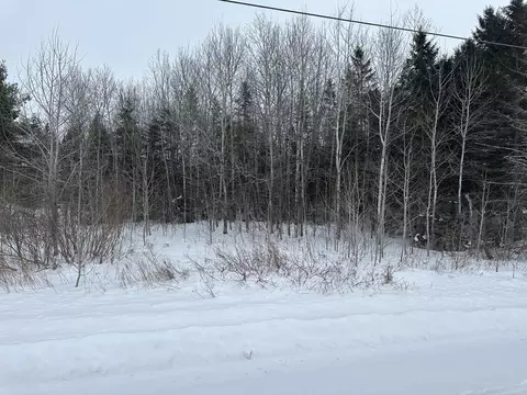 lot26 E Belyea Rd, Caribou, ME 04736