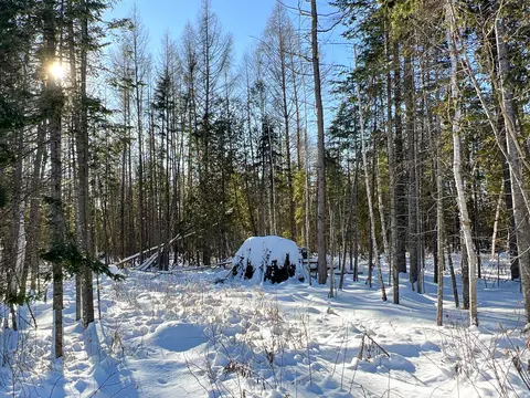 905 Madawaska Road # l, New Sweden, ME 04762