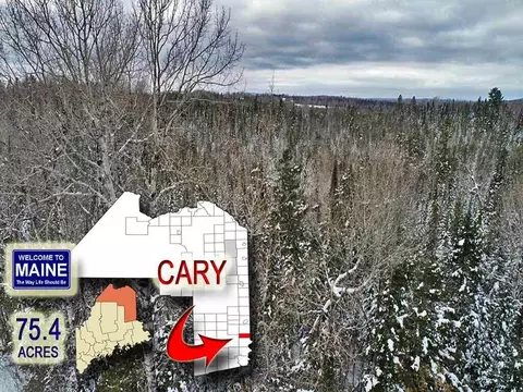 lot16 Brewer Rd, Cary Plt, ME 04471