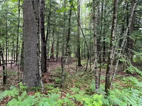 Lot 0 Donna's Way, Saco, ME 04072