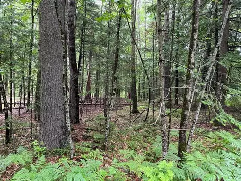 lot0 Donnas Way, Saco, ME 04072