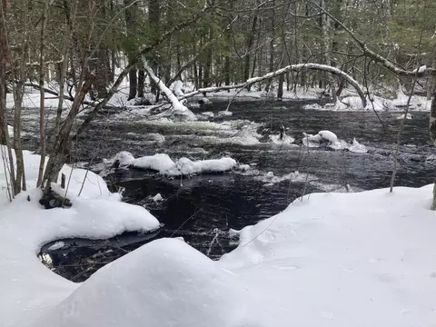 Map59lot3 Balch Mill Road, Newfield, ME 04056