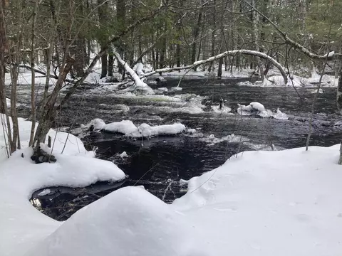 Map59lot3 Balch Mill Road, Newfield, ME 04056