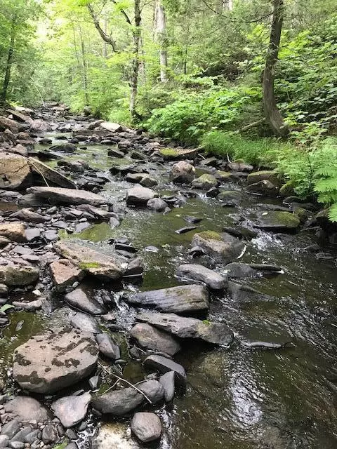 1 Pine Rd #LOT B, Sandy River Plt, ME 04970