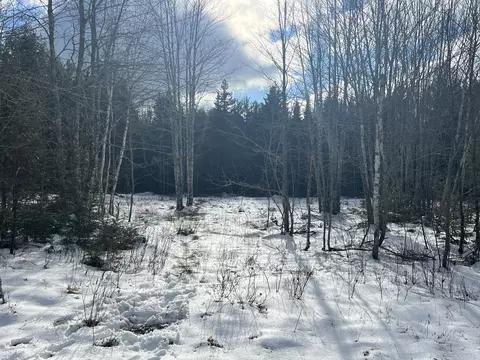 lot137 White Tail Road Rd, Waltham, ME 04605