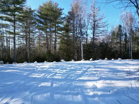 Off Back Settlement Road, Mattawamkeag, ME 04459