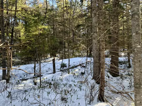 lot1322 Beech St - Off Deer Haven Rd, Wesley, ME 04686