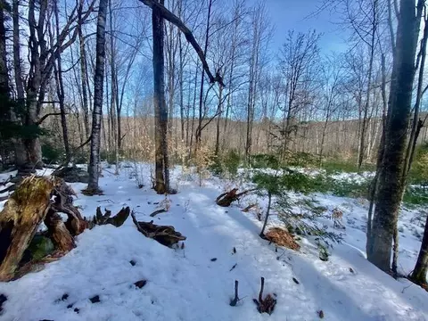 45 Pendexter Way, Parsonsfield, ME 04048