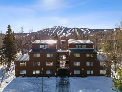 725 Birchwood Ln #725, Carrabassett Valley, ME 04947