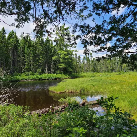0 Off Loop Rd, King Bartlett Twp, ME 04961