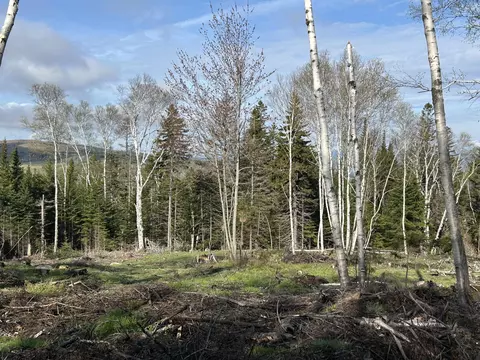 M13/l37 Barbara Lane, Sandy River Plt, ME 04970